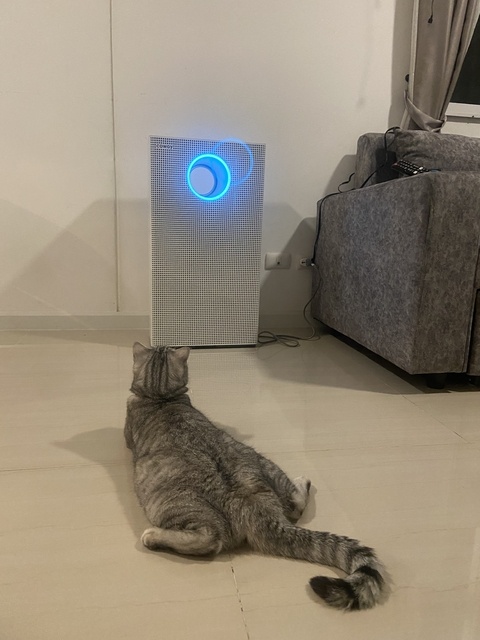 ปกป้องไรฝุ่น ฝุ่นPM2.5