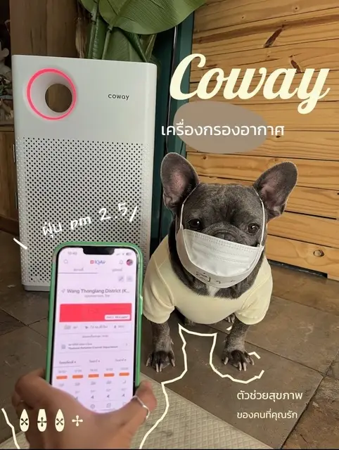 สัตว์เลี้ยงเป็นภูมิแพ้