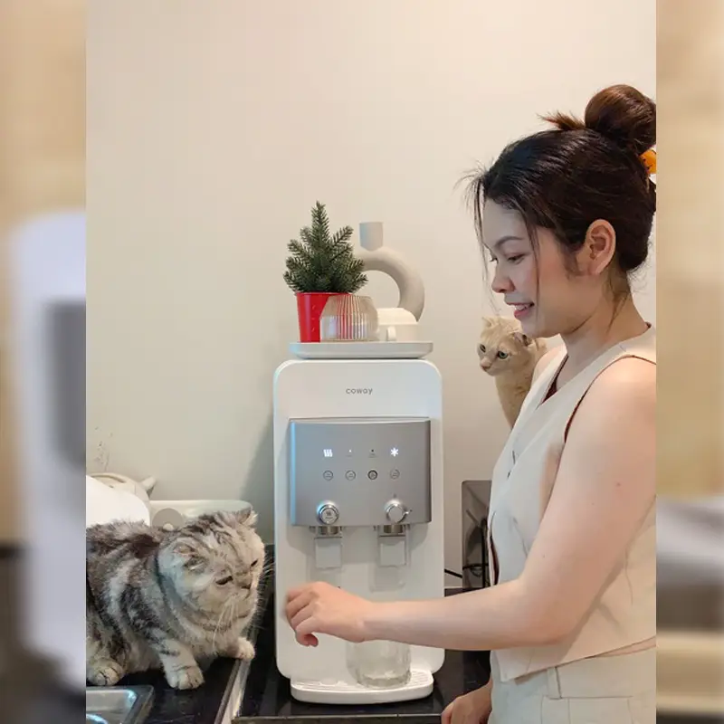  วันวิสา